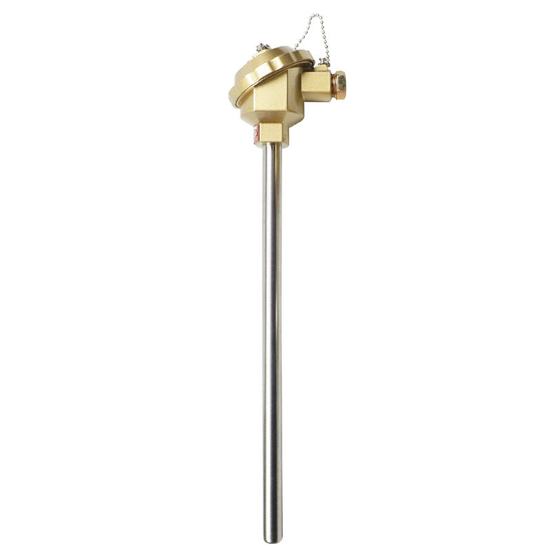Termocoppia in acciaio inossidabile isolata, impermeabile e resistente all'usura Termocoppia di tipo K da 1800°C Termocoppia con sonda di tipo RTD PT100