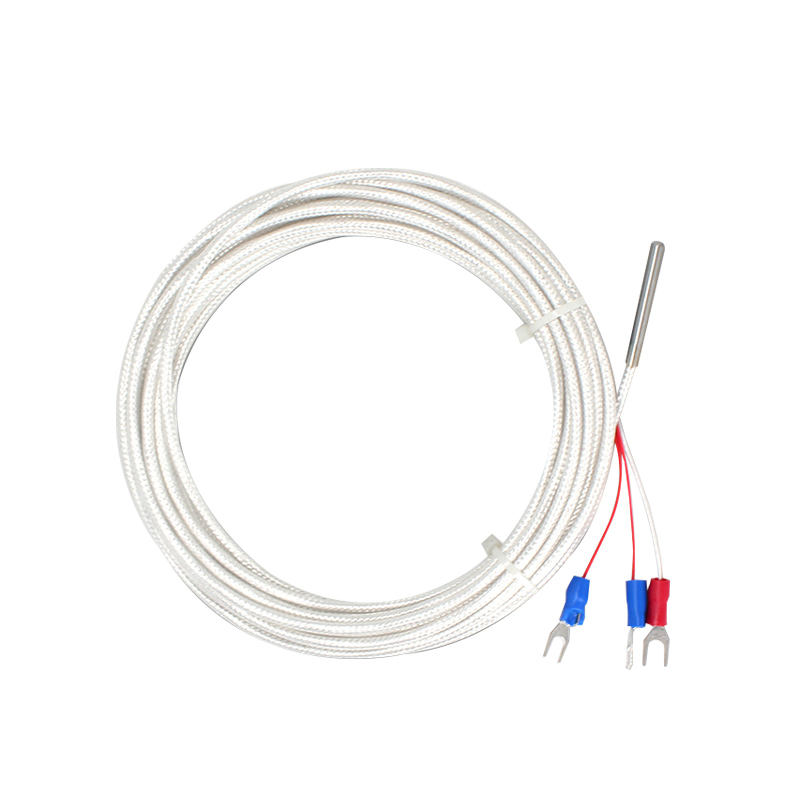WZP-035 Sonda PT100 Cavo 5 × 35 mm 1–20 m Termometro a resistenza al platino RTD Sensore di temperatura anticorrosione impermeabile resistente alla corrosione