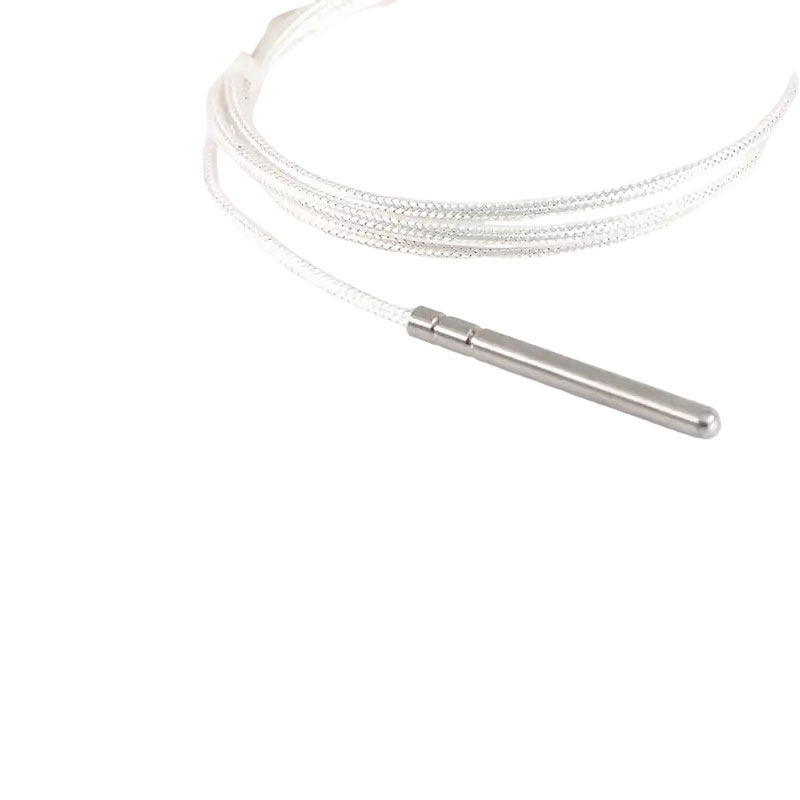 Sensore di temperatura industriale PT100 RTD Termistore in platino a 3 fili Sonda termocoppia da 50 mm