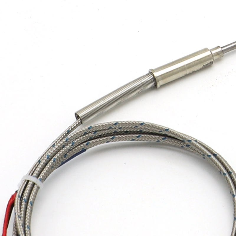 Termocoppia flessibile con ago armato, tipo K, 2 fili, termocoppia ad alta temperatura e alta precisione con sensore RTD PT100 esteso