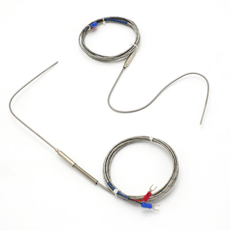 Termocoppia flessibile con ago armato, tipo K, 2 fili, termocoppia ad alta temperatura e alta precisione con sensore RTD PT100 esteso