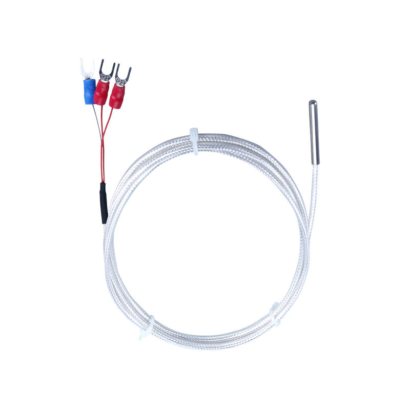 WZP-035 Sonda PT100 Cavo 5 × 35 mm 1–20 m Termometro a resistenza al platino RTD Sensore di temperatura anticorrosione impermeabile resistente alla corrosione
