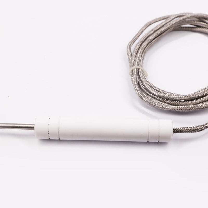 PT1000 PT100 NTC Sonda di temperatura Sensore di temperatura Sonda in acciaio inossidabile Termocoppia per barbecue e forni di carne