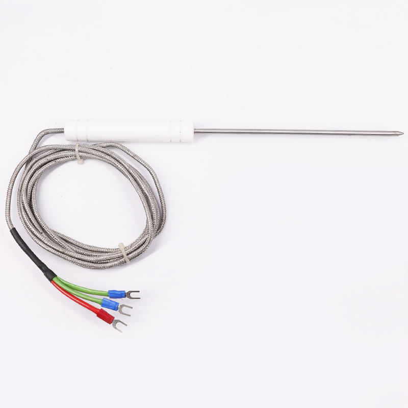 PT1000 PT100 NTC Sonda di temperatura Sensore di temperatura Sonda in acciaio inossidabile Termocoppia per barbecue e forni di carne