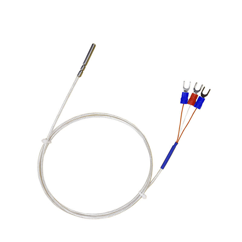 WZP-035 Sonda PT100 Cavo 5 × 35 mm 1–20 m Termometro a resistenza al platino RTD Sensore di temperatura anticorrosione impermeabile resistente alla corrosione